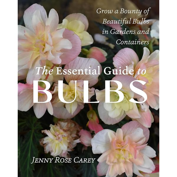 The Outdoor Potted Bulb Rob Proctor 洋書園芸 The Indoor Potted Bulb ~ Decorative Container Gardening with